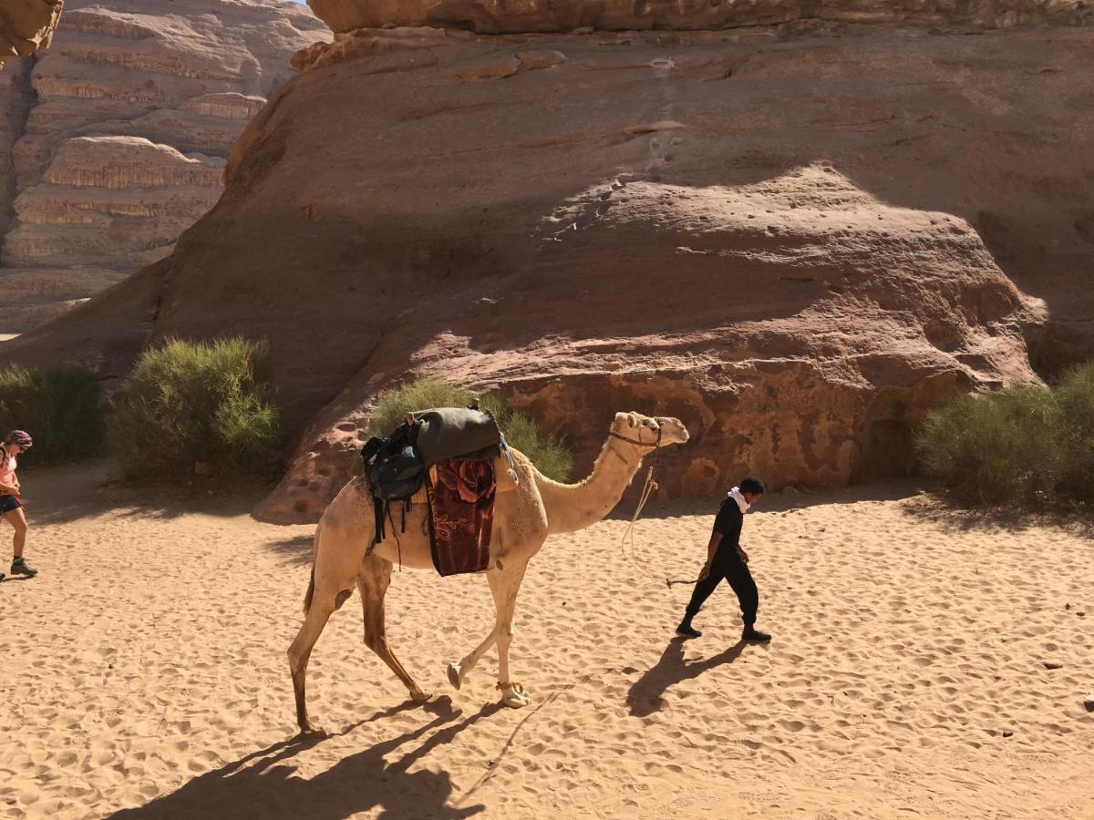Jamal Rum Desert ワディ ・ラム エクステリア 写真