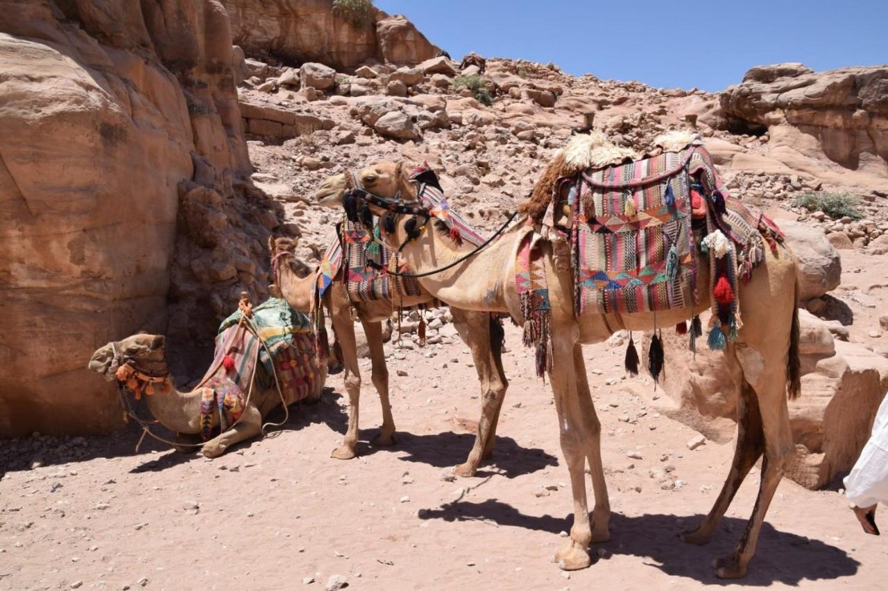Jamal Rum Desert ワディ ・ラム エクステリア 写真